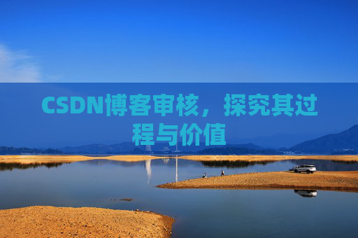 CSDN博客审核，探究其过程与价值